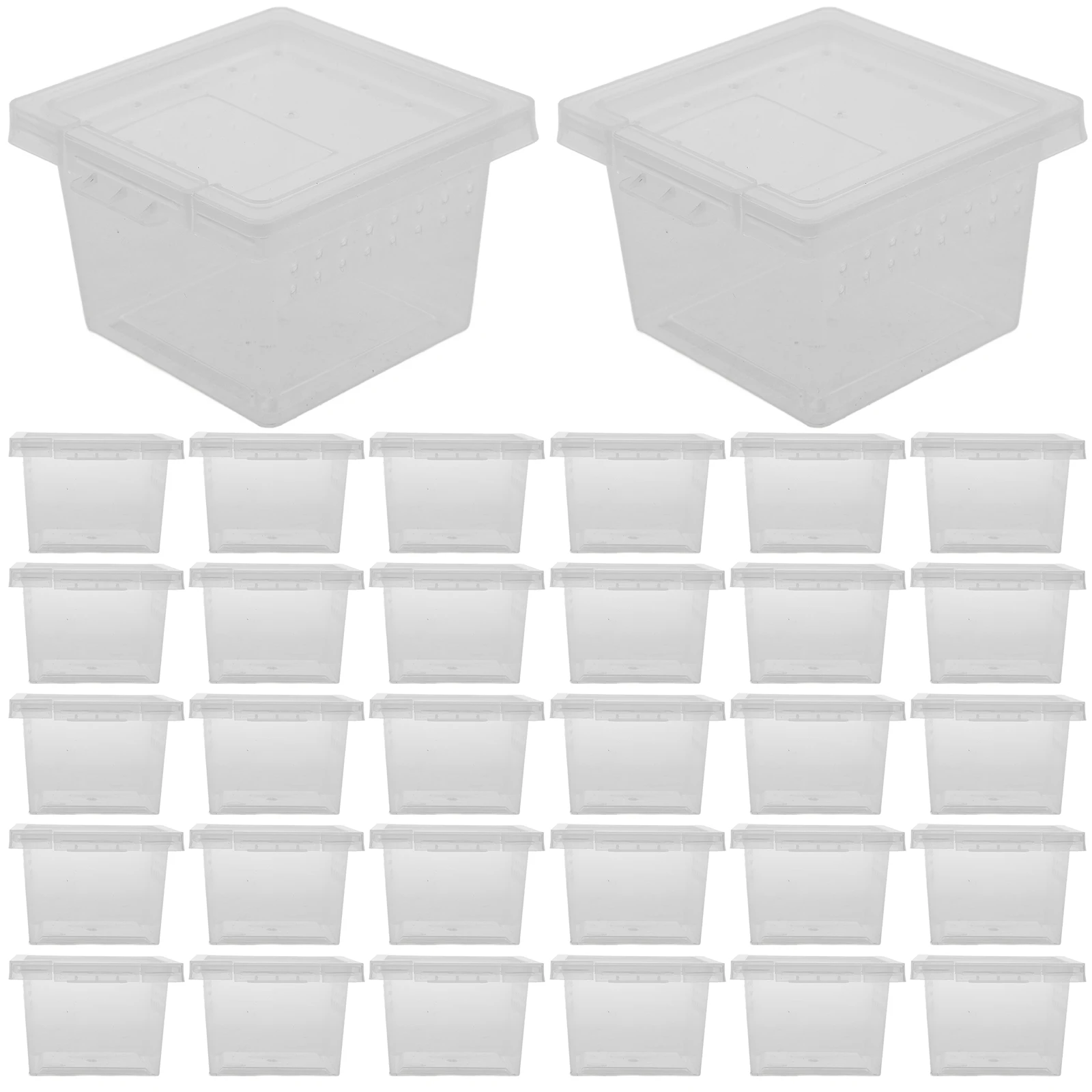 

100pcs Insect Feeding Box Reptile Breeding Cage Transparent Lightweight Durable Spider Lizard Egg Habitat Easy Open Pp Material