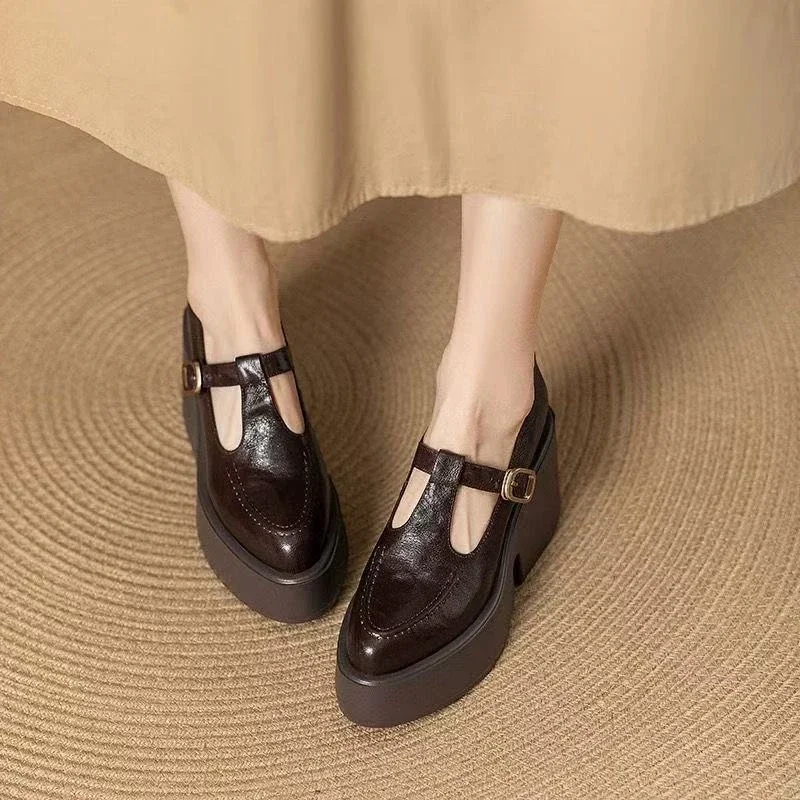 Chunky Platform High Heels Pumps Women Spring PU Leather Ankle Buckle Mary Jane Shoes Woman Brown Thick Heeled Sandals Loafers