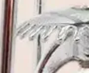 Automatic Fire Sprinklers Guard Cage Fire Sprinkler Protective Bracket Fire Extinguishing System Protector Cage Home Restaurant