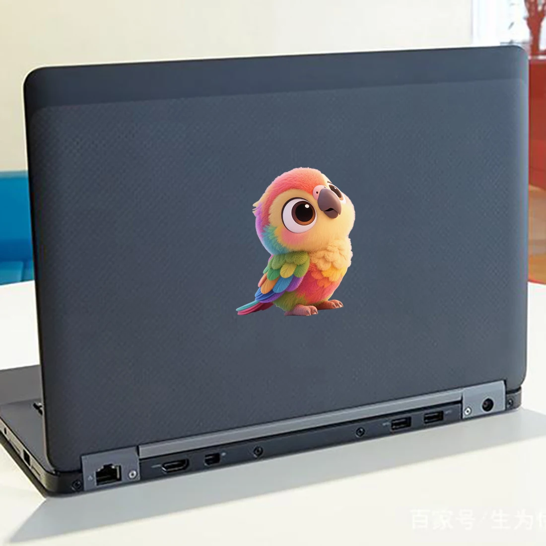 Three Ratels CD325 Funny colored parrot cartoon wall stickers for home decoration pet supplies decals