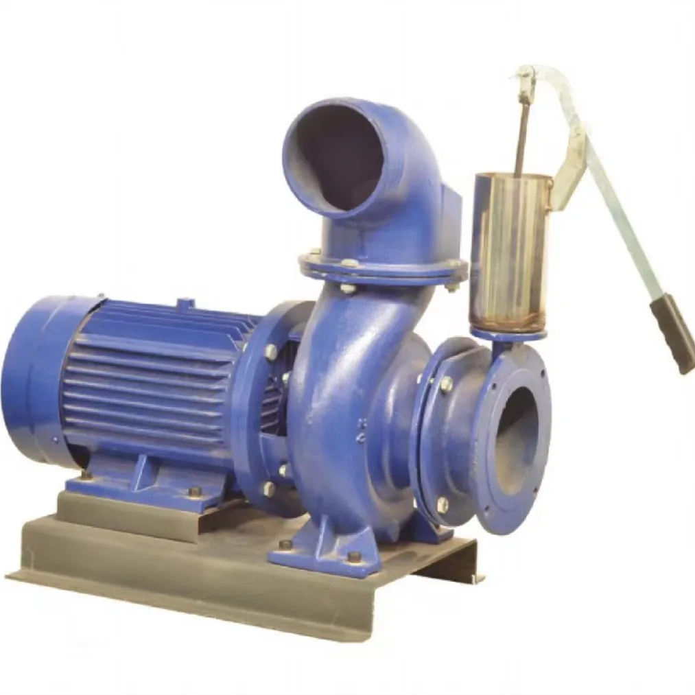 

6 Inch Electric Pump