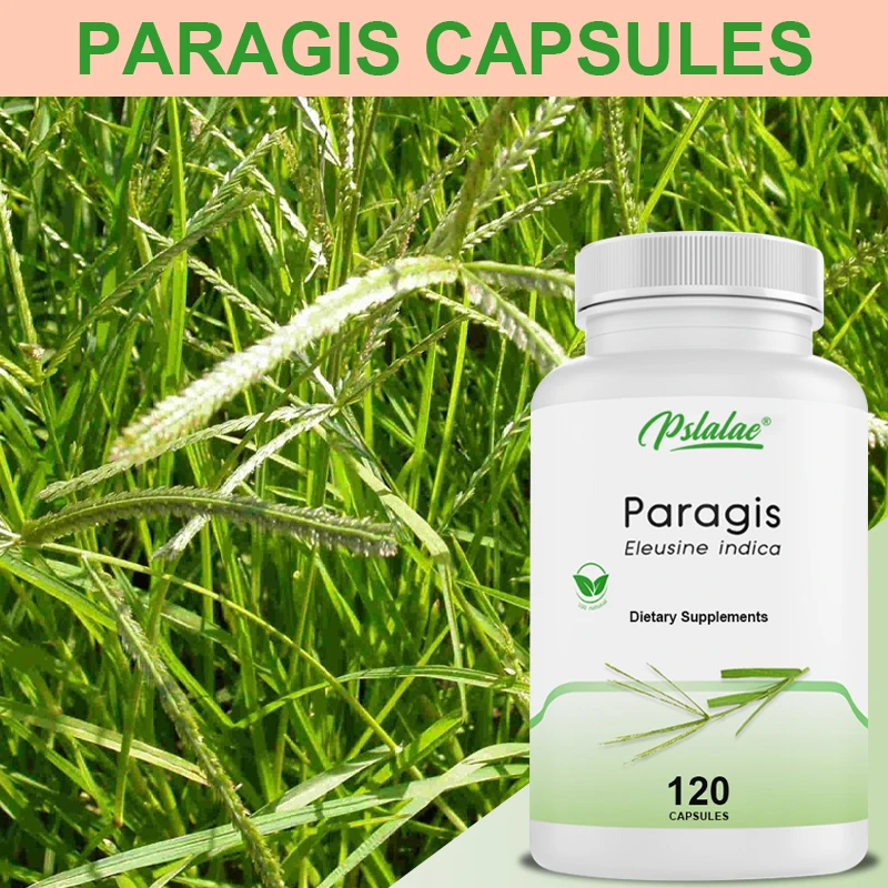 Naturethics Paragis Pregnancy Nutrition PCOS Cyst All Natural Organic Capsules, Dietary Supplement