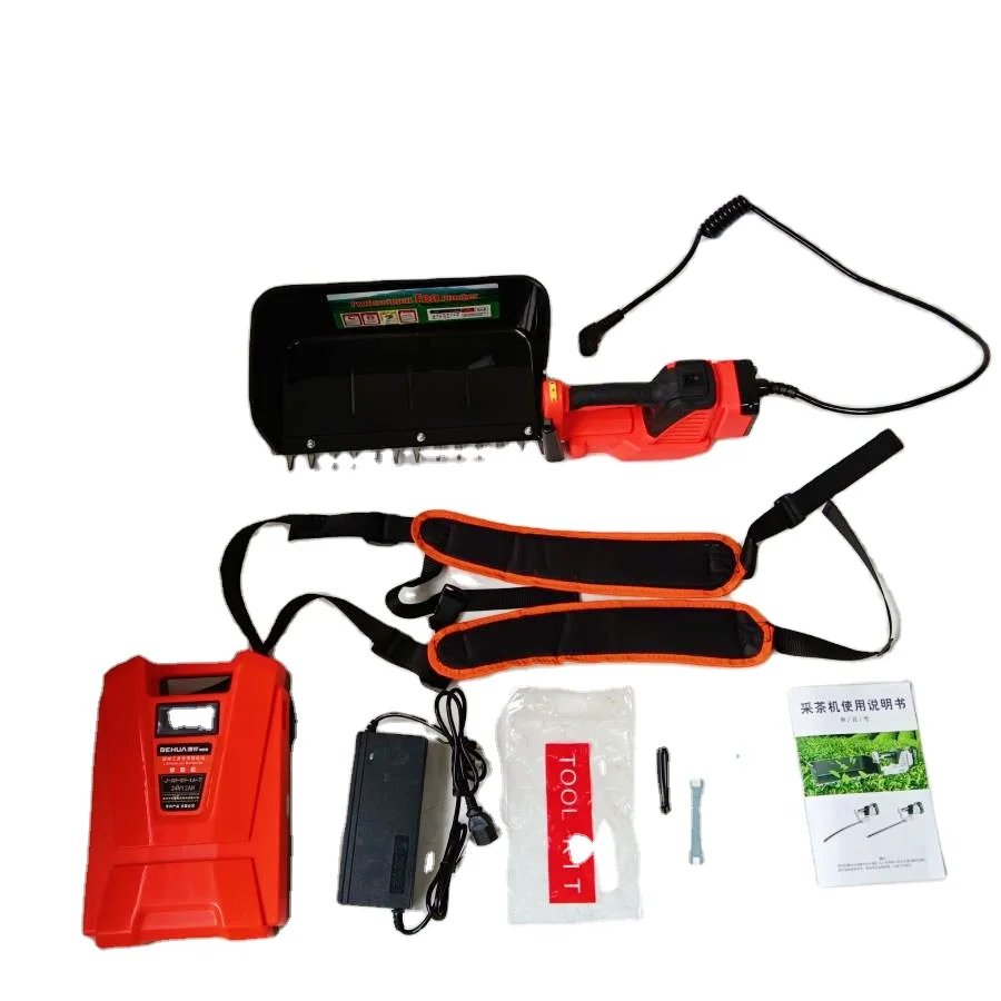 Um 12AH Straps And … - image