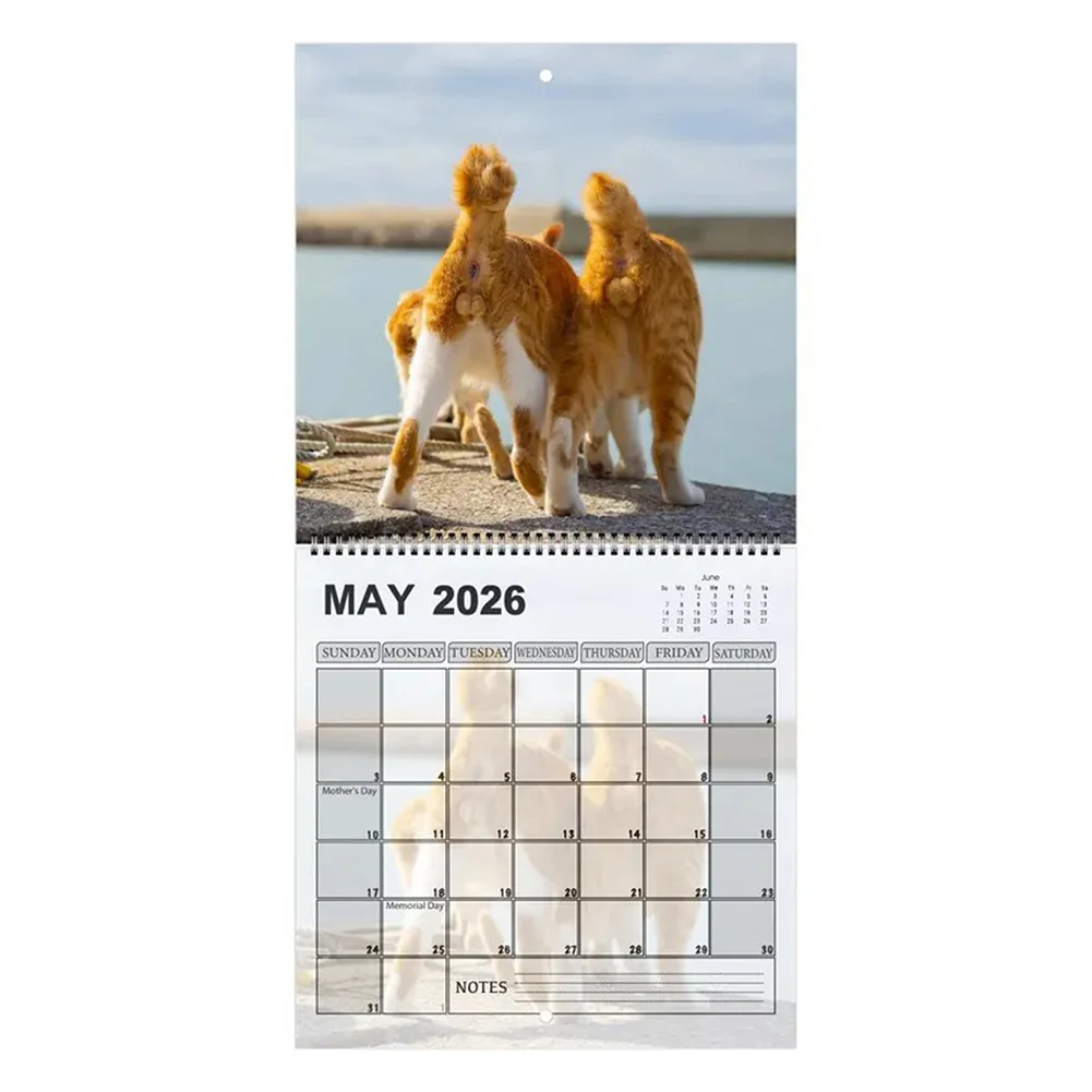 2026 Calendario di testa di gatto Simpatico calendario da parete a tema gatto divertente Decorazioni per la casa accoglienti e coinvolgenti Illustrazioni divertenti per la giunta quotidiana