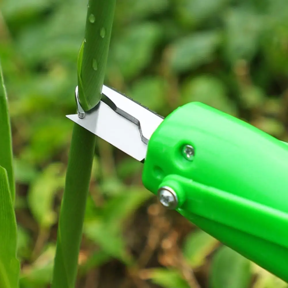 Fruit Picking Tool Special for Prickly Ash Blueberry Cherry Chinese Toon Grape Strawberry Litchi Portable Harvest Cutter ﻿ - view 4