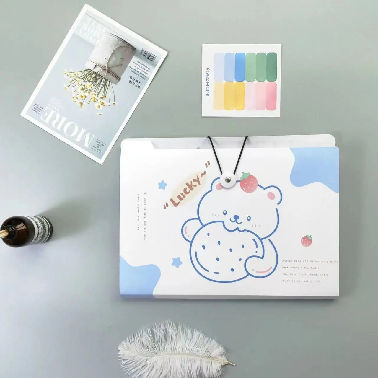 MOHAMM 1pc Transparent Waterproof A4 Folder Student Test Paper Storage Lovely Storage Bag