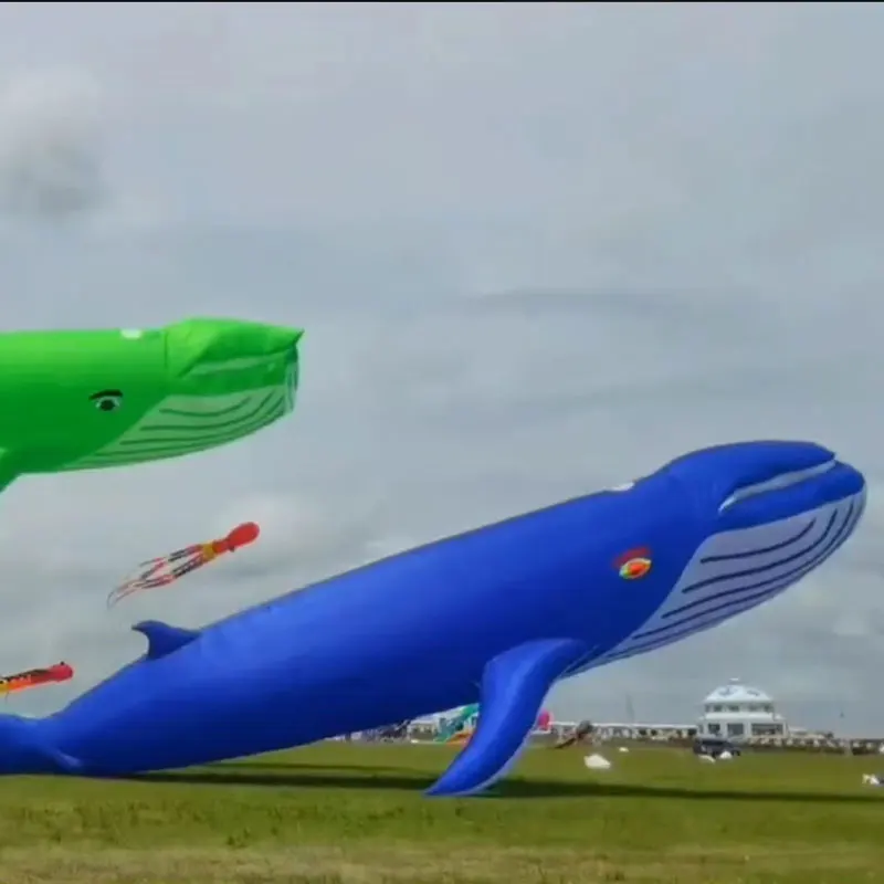 

Pendant Kite 40D Whale Kite 12 meters 17 meters long cannot be flown alone