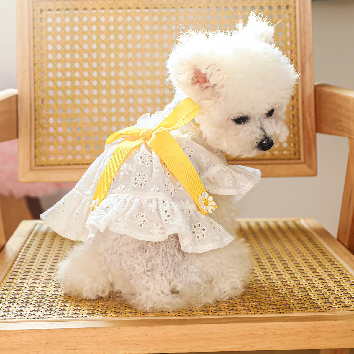 1PC Pet Clothing Dog Summer White Hollow Breathable Dress with Bow Knot Hollow out Suitable for Small and Medium sized Dogs