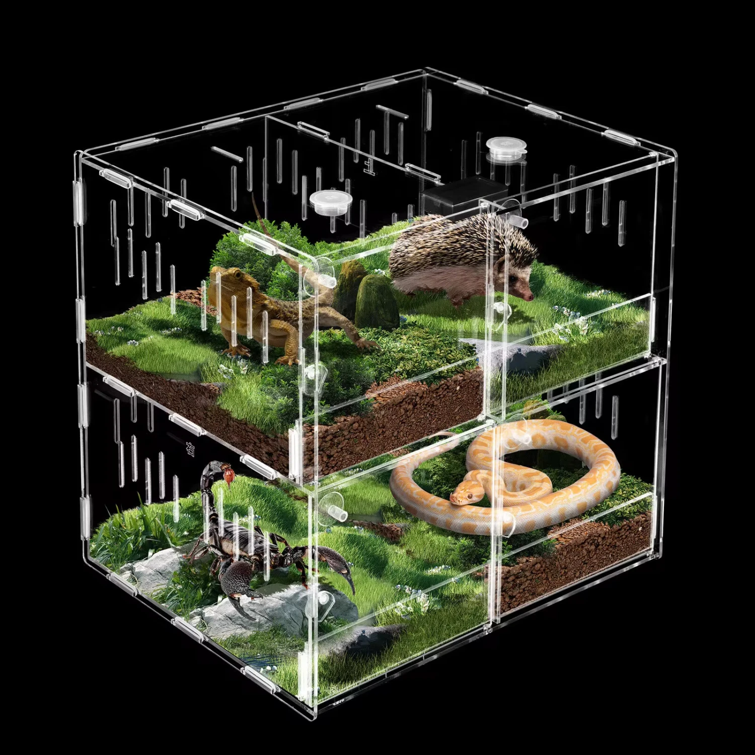 4 Grids Acrylic Reptile Cage Terrarium Tank Clear Feeding   Tarantula Scorpion Sling Isopods Lizards Roach Rabbit hay feeder