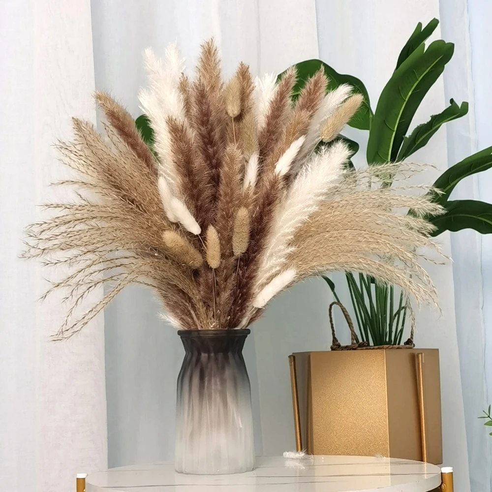 Dried Pampas Grass Decor 17 Inch Nature Bunny Tails Flowers Reed Bouquet Boho Fluffy Pompous Brown White for Wedding Home Decor