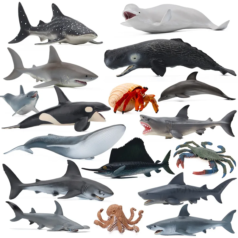 20cm Sea Animals Action Figure Ocean World Teaching Aids Model Blue Whale Dolphin Miniature Biology Education Shark Toy Children