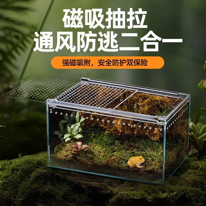 Seamless Transparent Preassembled Reptile Habitat Tank For Hermit Crab Frog Gecko Scorpion Snake Tabletop Home Display For Kids