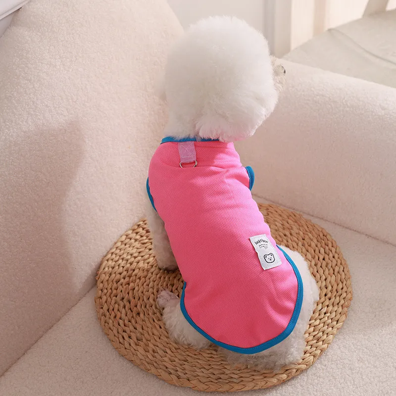 Colete fino com fivela de tração para pet, malha respirável Design, roupa confortável para cães, verão