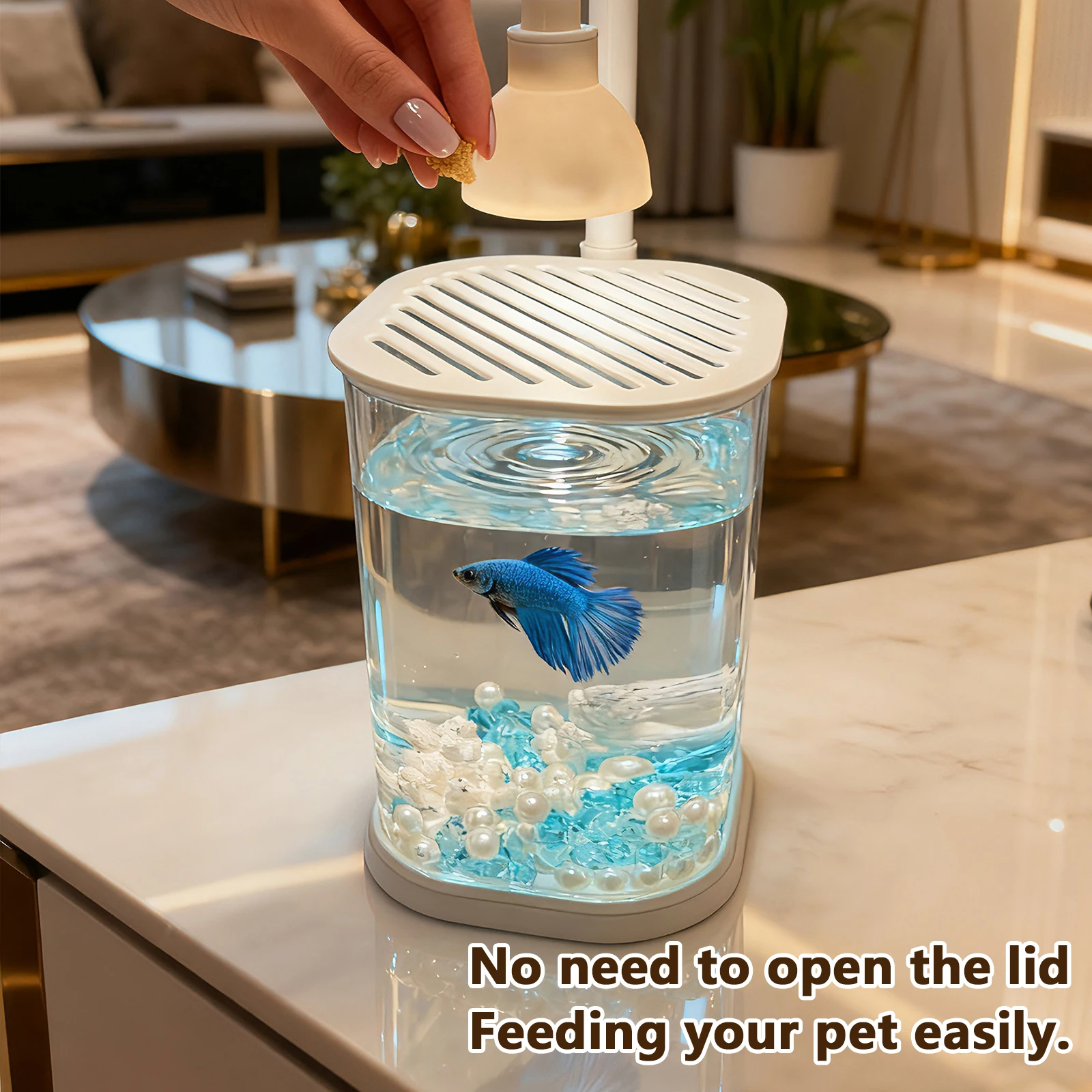 مجموعة المبتدئين، خزان الأسماك الصغيرة، خزان الأسماك القتالي، خزان السلحفاة، خزان السمكة الذهبية مع فكرة هدية للحفلات الخفيفة للأطفال #3