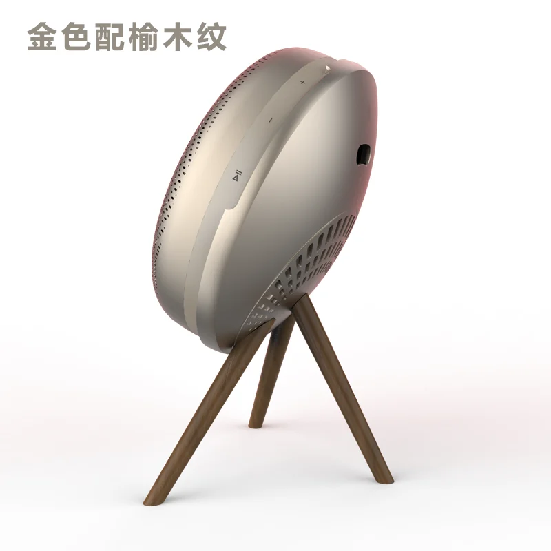 B&O Beosound A1 2nd Gen Second Generation Wireless Bluetooth