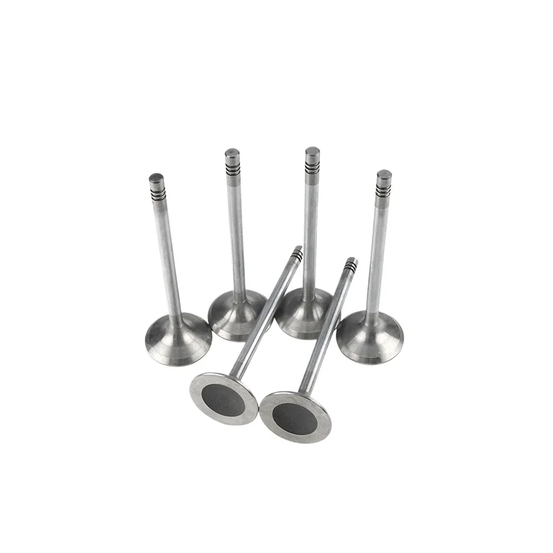 

For The Intake Valve of The 6.0L Engine of Volkswagen Phaeton and Audi A8 Short 022109601E