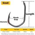 Size 8