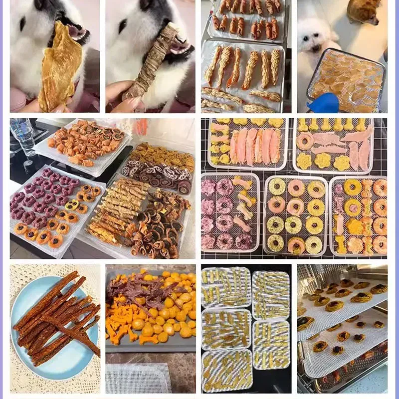 Food-Dehydrator Machine Stainless Steel Fruit Dryer 800W Meat Dehydrator Jerky Maker, 24H Timer Food Dryer Adjustable Thermostat
