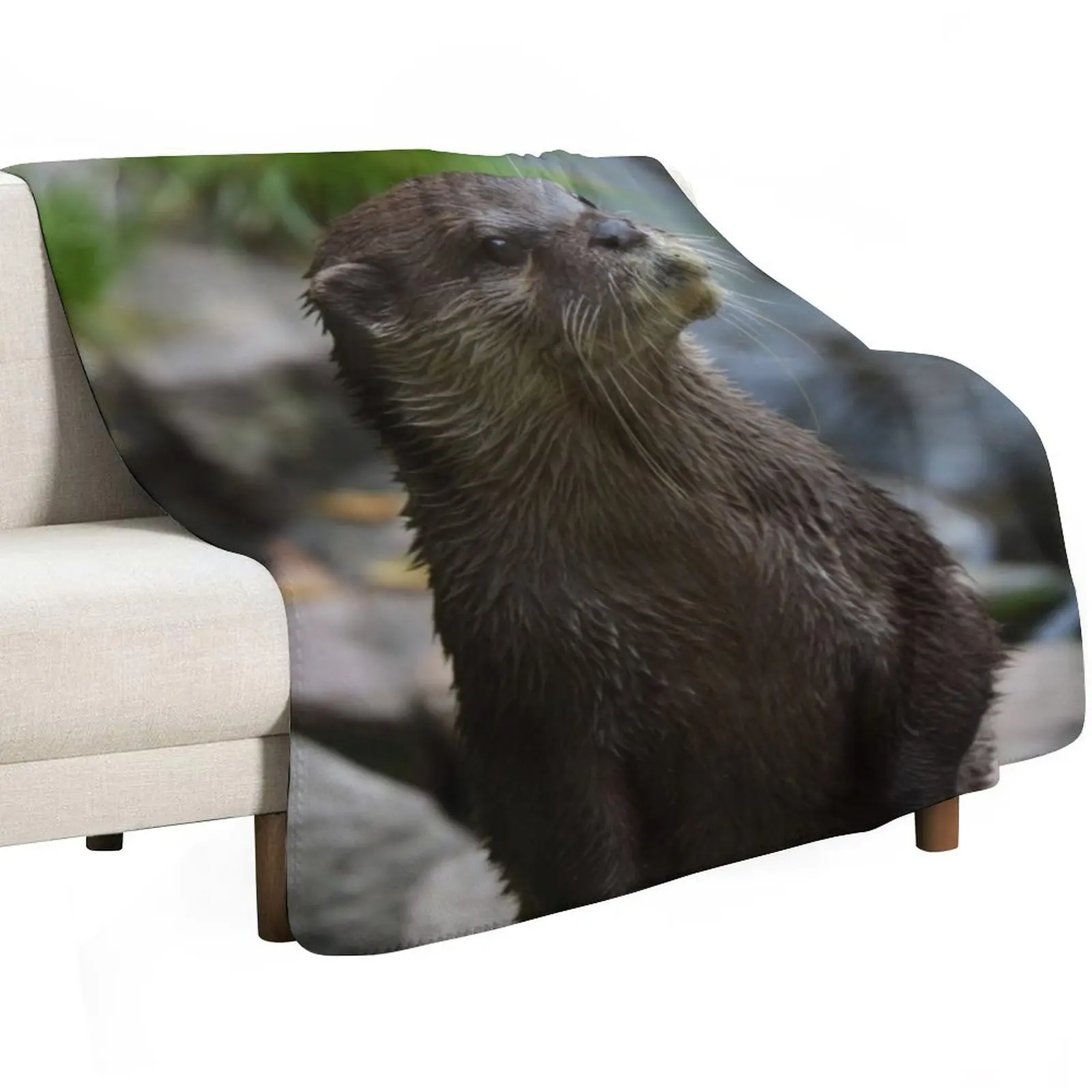 Otter Closeup Throw Blanket For Sofa Thin Hairys Designers Nap Single Furry Blankets