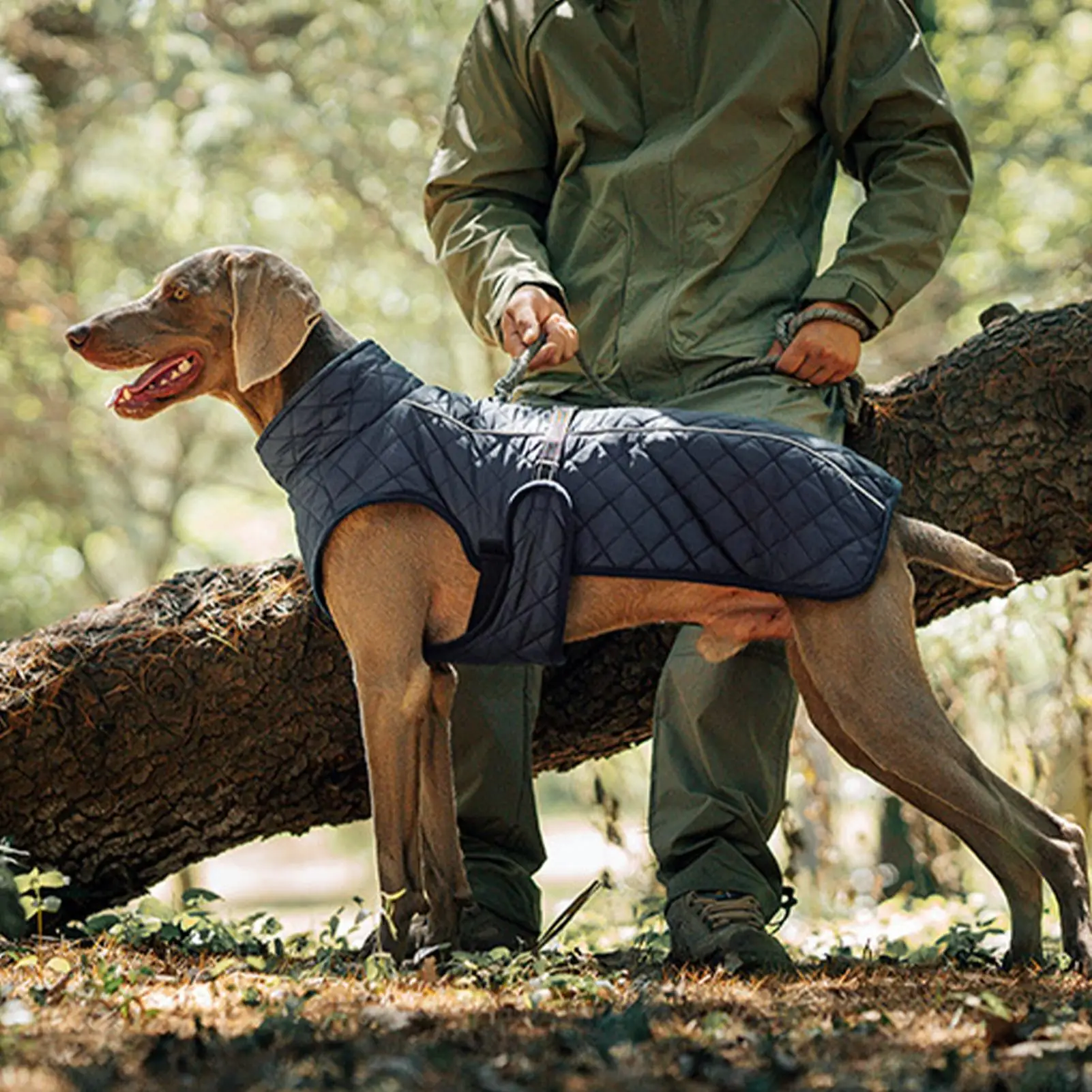 سترة للكلاب من القطن المقاوم للرياح سترة دافئة للطقس البارد سترات للكلاب الأليفة للمشي اليومي والتنزه والتزلج في الهواء الطلق وزيارات الحديقة