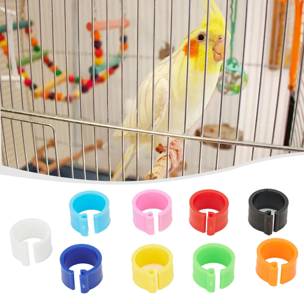 Plastic Re-use 7mm /0.27 Inch 10 colors Set kit Chicks Rings Poultry Leg Band Bird 100Pcs 8mm Clip Useful New Sale