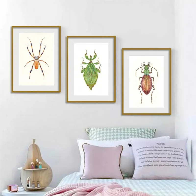 Insect Beetle Collection Retro Poster Spider Fly Canvas Painting and Prints Wall Art Picture for Living Room Home Decoration