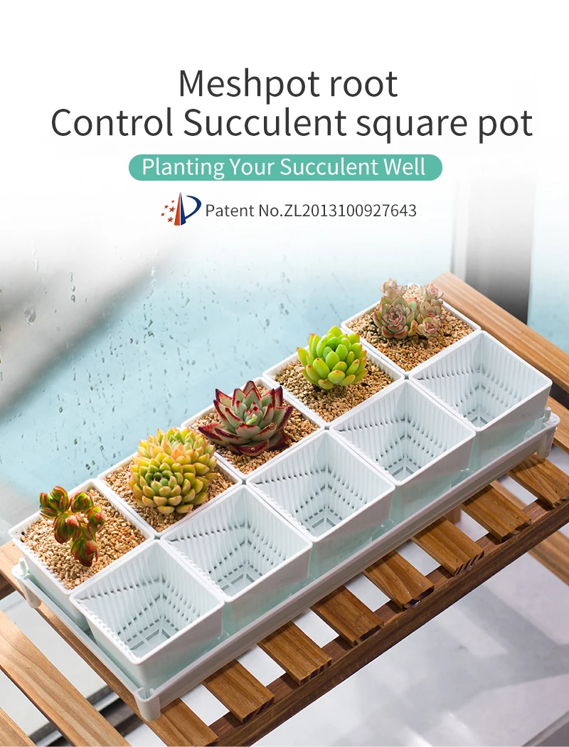 Meshpot Quadratische Sukkulenten-Pflanztöpfe mit Drainageschale – Blumentöpfe im nordischen Stil für Kaktus, Lithops, Pflanzen, Hausgarten – Detail 1
