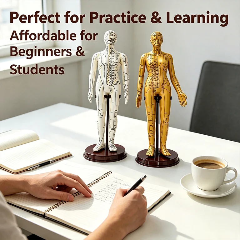 52cm Human Body Model Soft Silicone Male Female Anatomy Practice Model with English Labels Full Body Teaching Study Tool