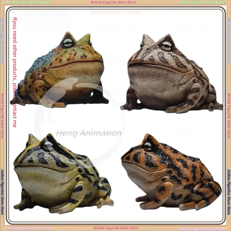 

Бразильская рогастая лягушка GK Коллекционная фигурка Южноамериканская рептилия Pet 1:1, масштабная копия модели, Коллекционная фигурка дисплея