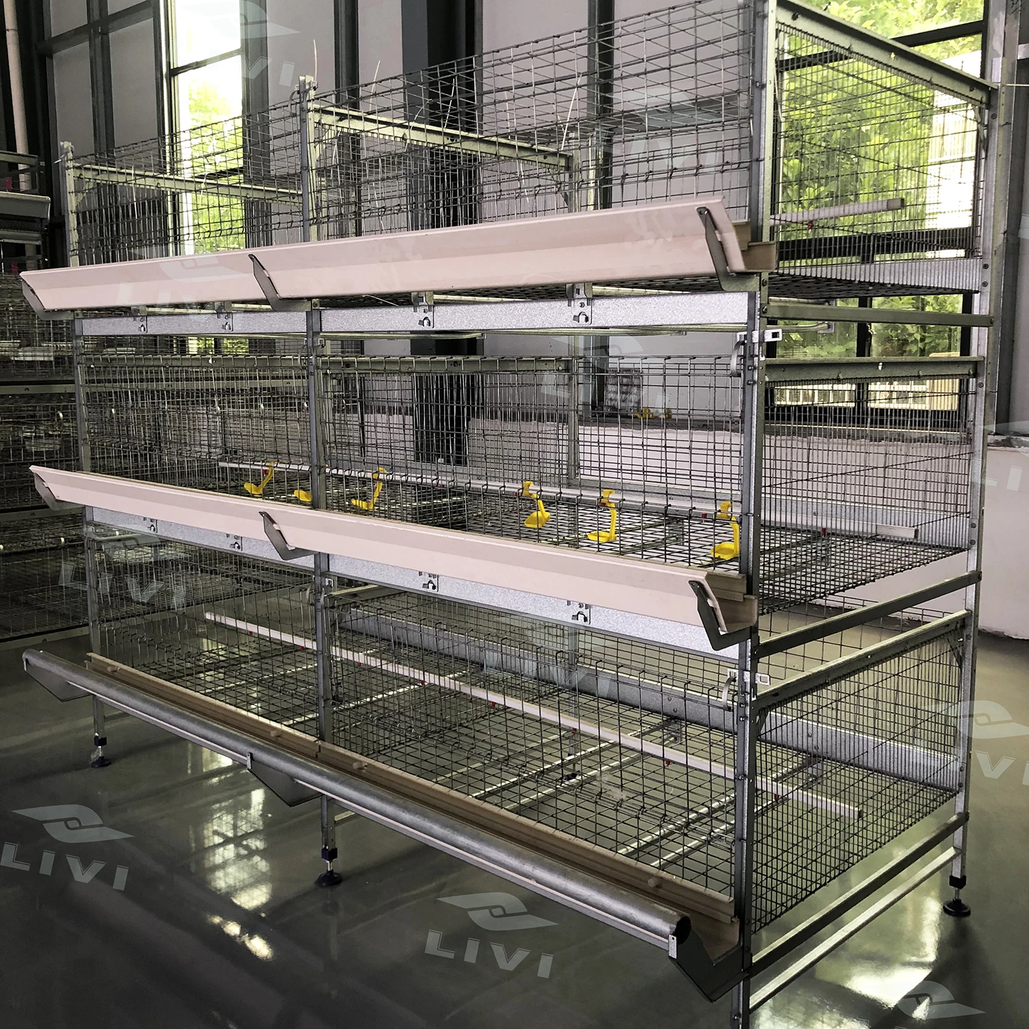 Sistema de Jaulas para Pollos de 3-8 Niveles, Tipo H, Personalizado OEM, para Cría de Aves de Corral, Jaulas para Gallinas Ponedoras y de Engorde, en Venta