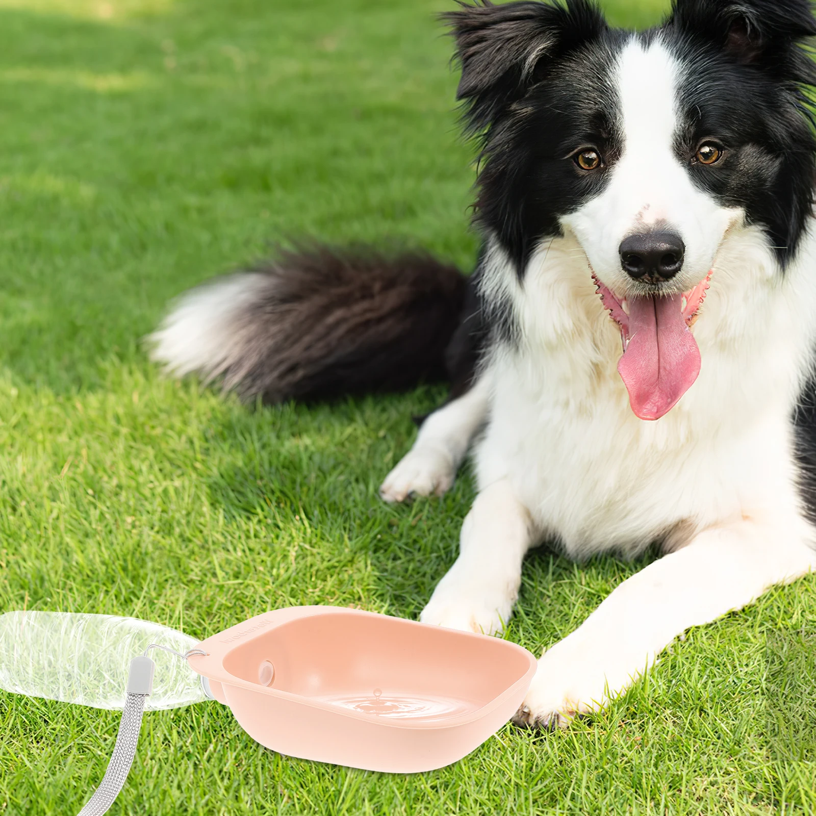 

Pet Water Bottle Bowl Outdoor Portable ABS Dog Travel Drinking Fountain Splash-Free Water Dispenser Bowl Connector