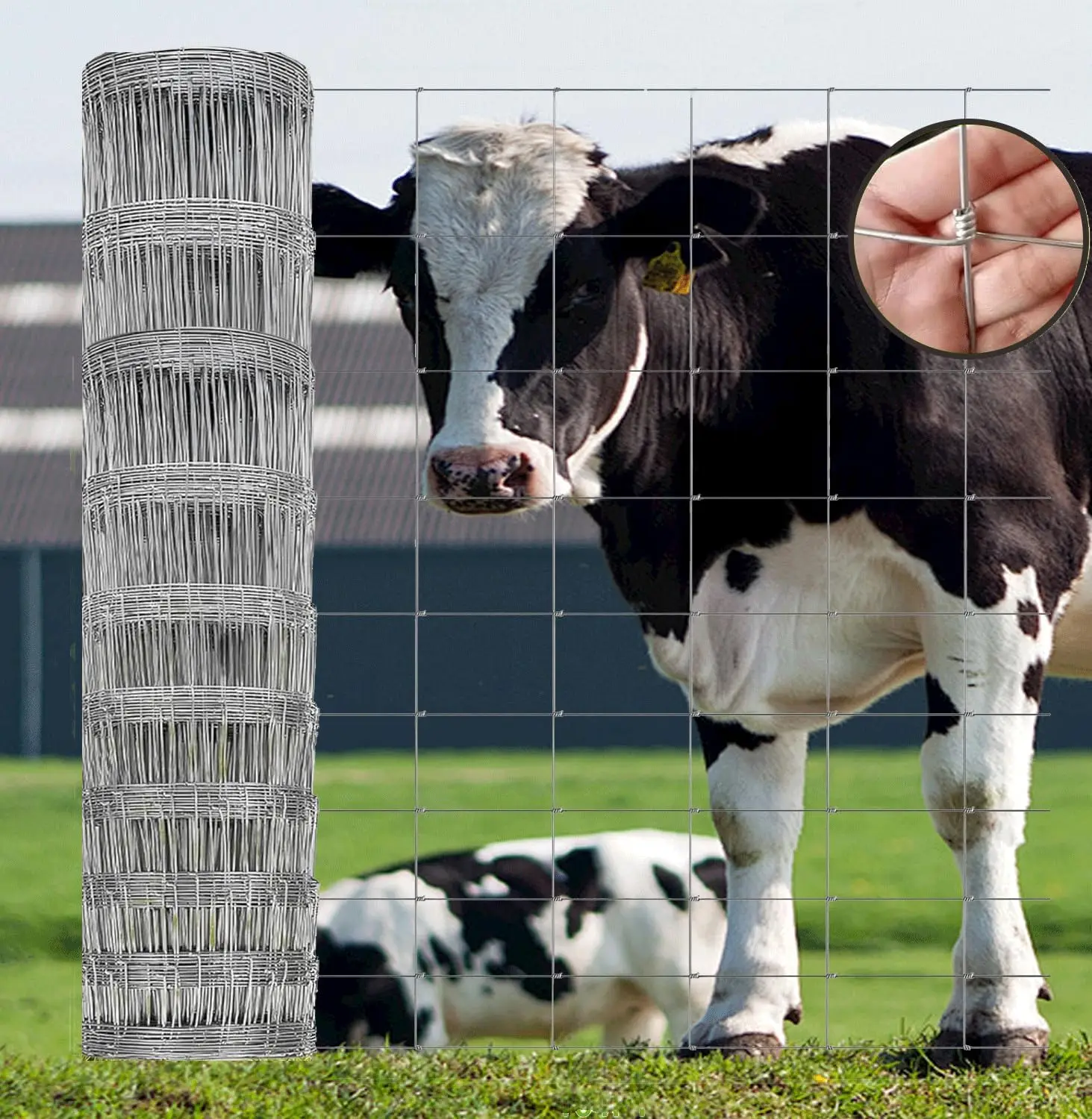 

Ограждение для крупного рогатого скота с тяжелым цинковым покрытием 4 x 100 футов, оцинкованное полевое ограждение для овощей, садовых фруктов и животных