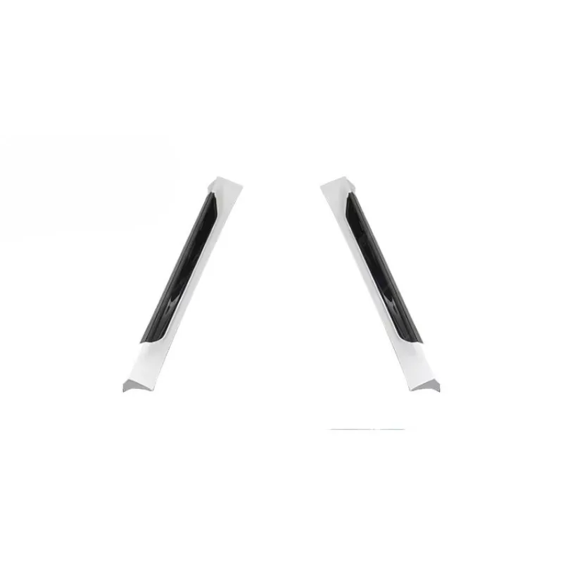 Auto Accessories Dry Carbon Fiber D Style Side Skirts for Tesla Model Y