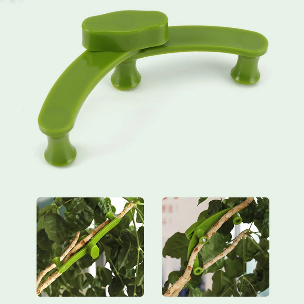 5Pcs Adjustable Plant Branches Bender Fixator Reuseable Branch Puller Twig Fixing Clamp Bonsai Modelling Tool Garden