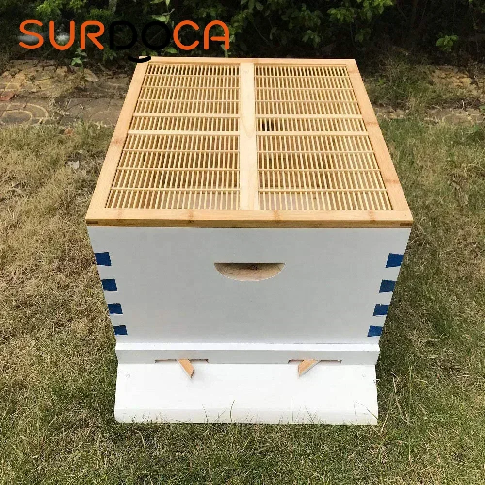 Wooden Automatic Self-Flowing Beehive 7 Auto Frames Set Bee Hive Supplies Beekeeping Material Apiculture Chinese Painted