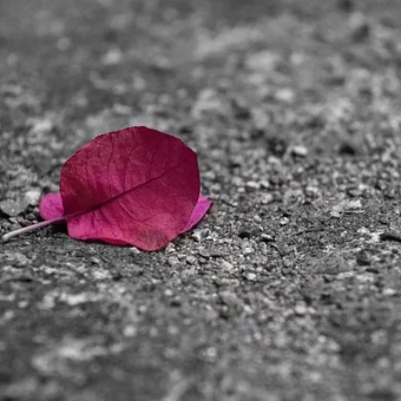 

Практичные универсальные багажники на крышу, багажник, автомобильная рама со светодиодной подсветкой для 1/18 JJRC C8801, радиоуправляемый гусеничный автомобиль, детали, квадратная лампа