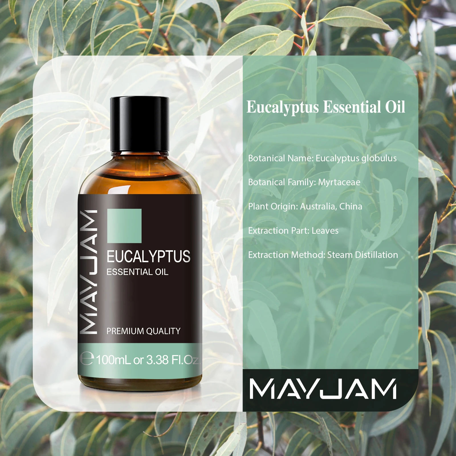 MAYJAM 100ML Eucalyptus Essential Oil For Humidifier Diffuser Burner Making Scented Candle DIY Perfume Air Freshener