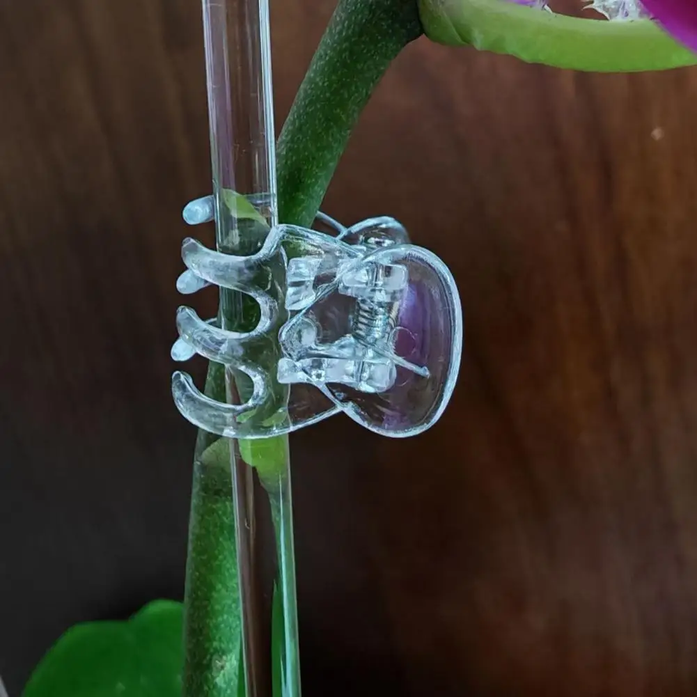 Transparent Plant Clips Plastic Phalaenopsis Clips Orchid Support Claw Clips for Flower Stems Climbing Plants Vines Tomatoes
