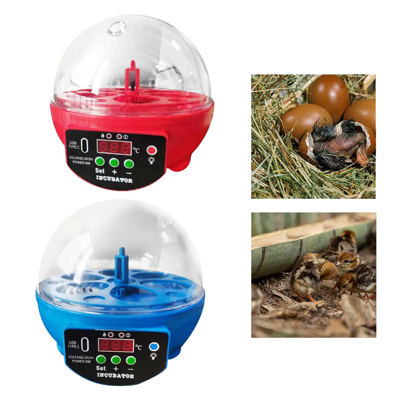 Mini Egg Incubator Automatic Hatching Brooder Farm Bird Quail Chicken Poultry Farm Hatcher with Light Chicken Hatcher USB