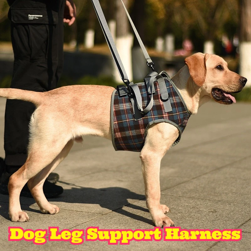 

Dog Rear Leg Support Harness Canine Post Surgery Recovery Sling Senior Dog Mobility Aid Hind Leg Walking Assistance Pet Weak Leg