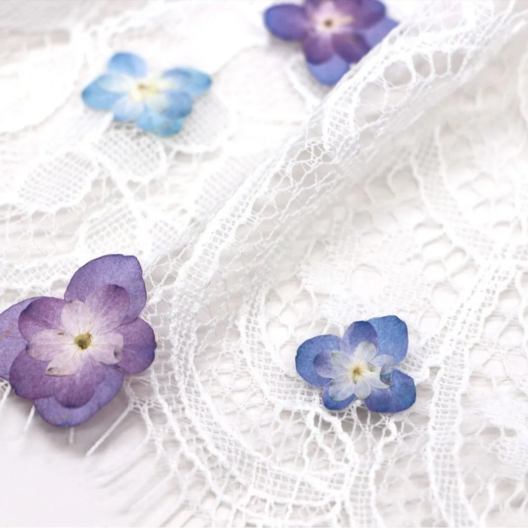 60Pcs Mini Double-Flowered Hydrangea Dried Flowers Pressed Flowers DIY Materials Candles Bookmarks Photo Frames Children's Crafts Pressed Flowers Table Lamps Nail Art Specimens view 4