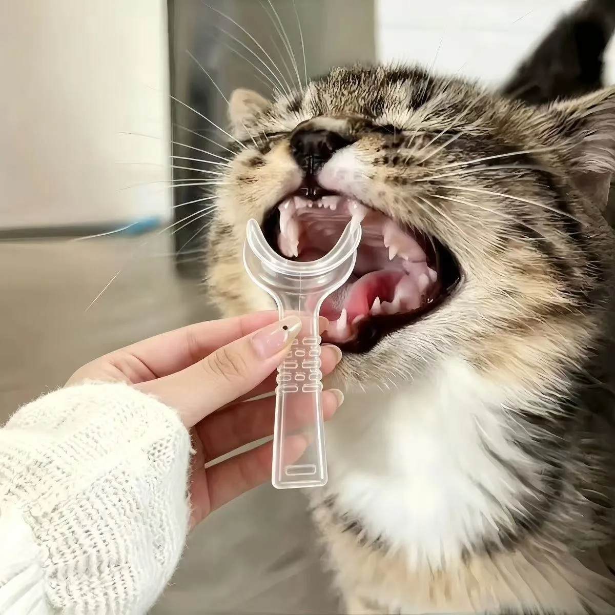 3-teiliges Set zur Mundreinigung für Haustiere, Haustier-Mundöffner und Fingerzahnbürste, Mundpflege für Katzen und Hunde – Detail 6