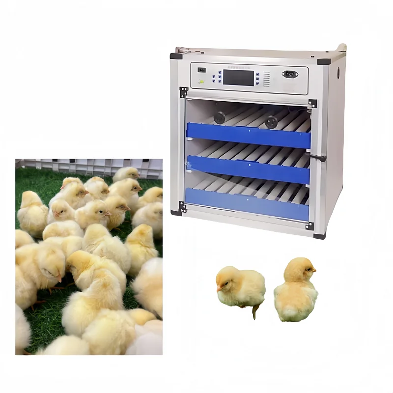 with Automatic Egg Turning  High Hatching Rate Suitable for Backyard Chicken Breeders New Medium-Sized Incubator