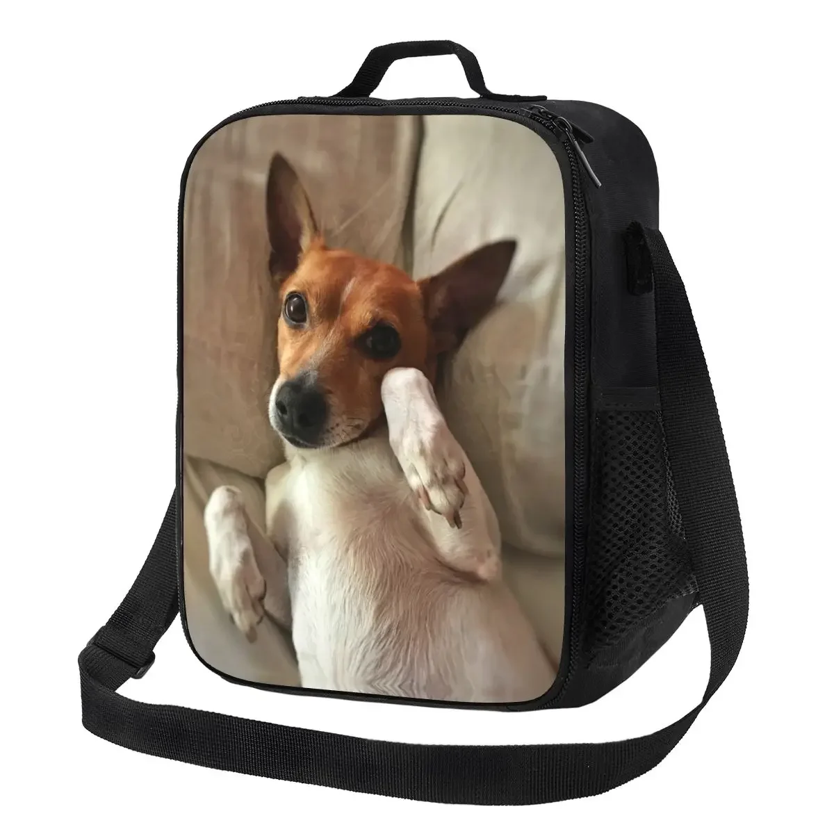 Funny Jack Russell Terrier Meme Insulated Lunch Bags for Camping Travel Dog Lover Leakproof Cooler Thermal Bento Box Women Kids