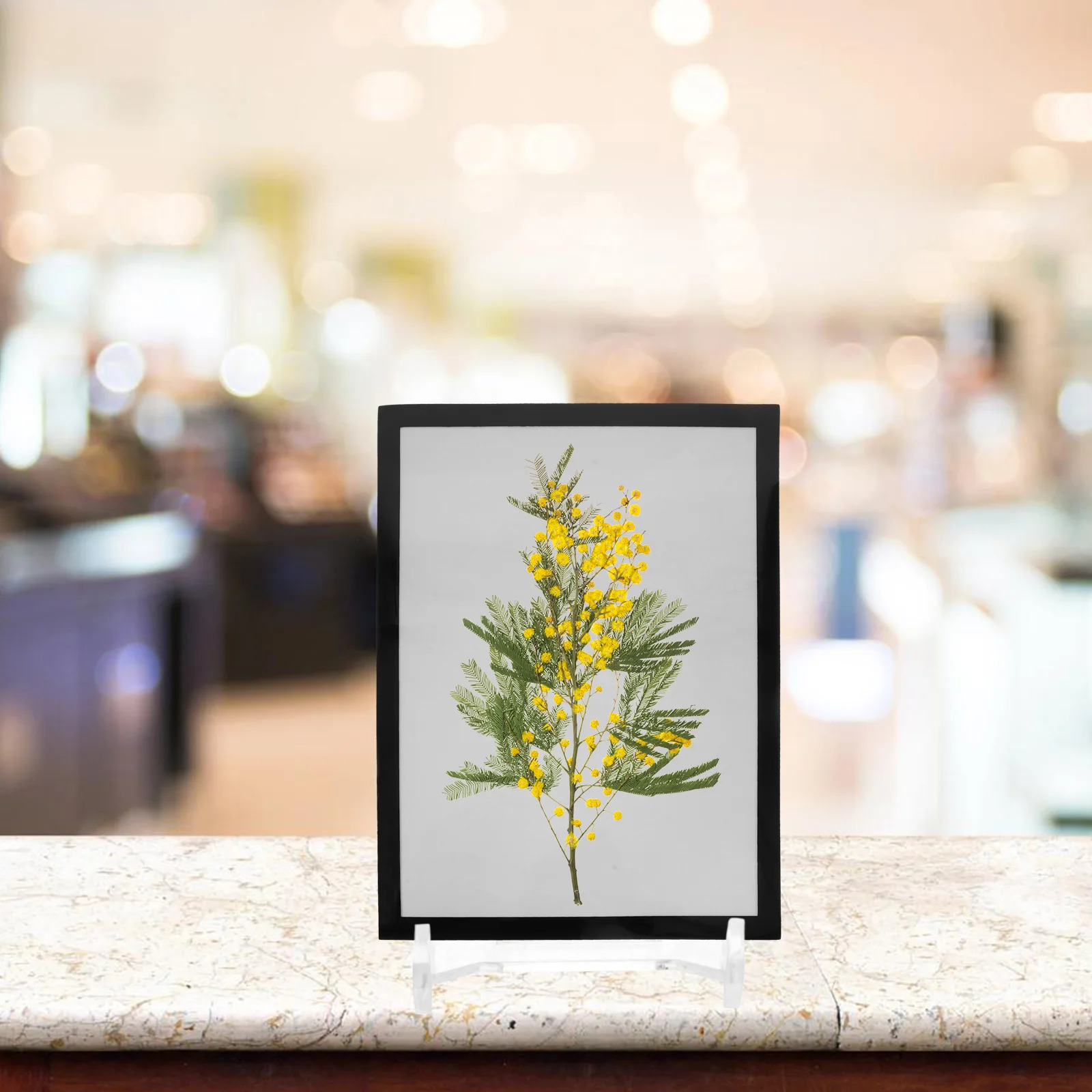 

5Pcs Acrylic Display Rack Sturdy Easel Stand for Plates Photos Cards Small Artworks Card Display Holder Picture Stand