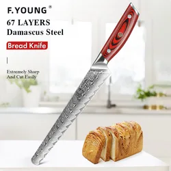 F.YOUNG 8.5