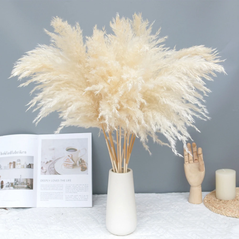 10/20 Pcs Cream Pampas Grass Decor Fluffy Dried Flowers Pampas Decoration Natural Flowers Bouquet Boho Decor Valentines Day Gif