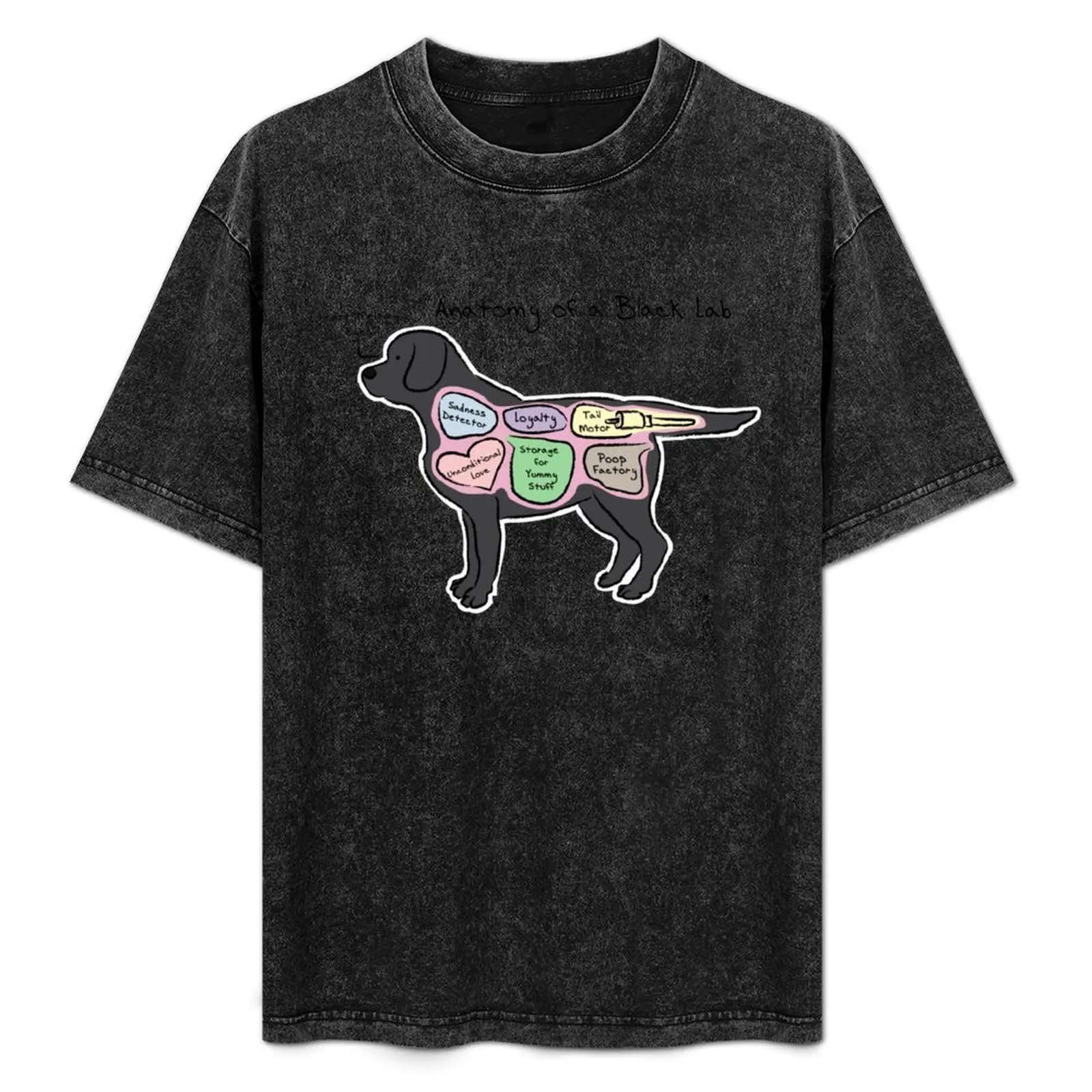 

Anatomy of a Black Lab T-Shirt man t shirt graphic cotton t shirt pack man t shirts cotton cotton shirts high quality T-Shirt