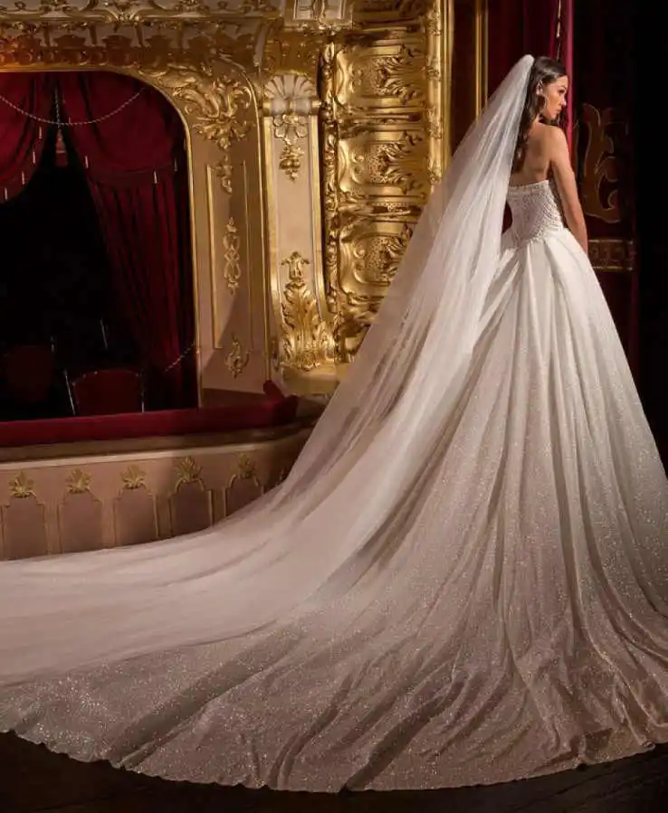 فستان زفاف فاخر مزين بالترتر بدون حمالات بطول الأرض فستان زفاف الأميرة العروس مخصص فيستدو دي نوفيا