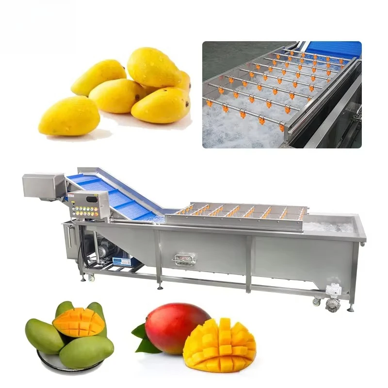 FOODLINE Low MOQ Vegetable Fruit Washing Equipment Anti-clog Water Outlet Stable Long Time Continuous Operation